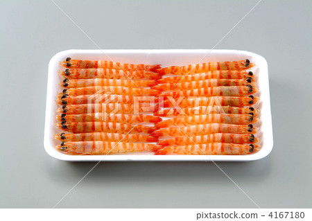 蝦頭 斑節蝦 小蝦 4167180