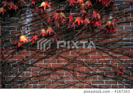 wall, walls, the brick 4167263