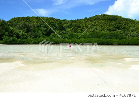 Palau Carp Island tidal flat mangrove women Palau Carp Island tidal flat mangrove women 4167971