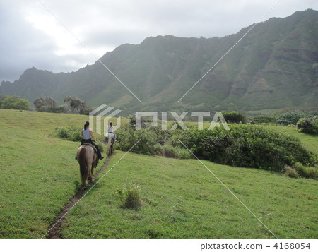 Horse riding at Kualoa lunch Horse riding at Kualoa lunch 4168054