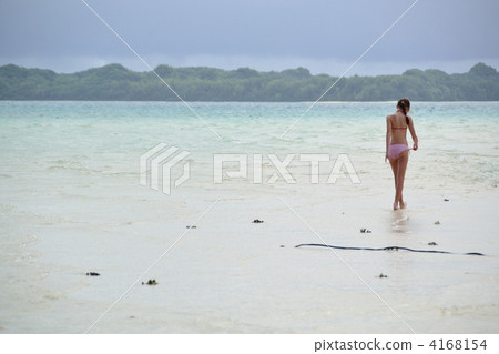 帕勞長灘女士們回來了 帕勞長灘女士們回來了 4168154