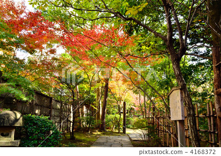 Autumn Rakugakuen Autumn Rakugakuen 4168372