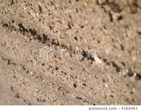 Concrete's Janka 4168463