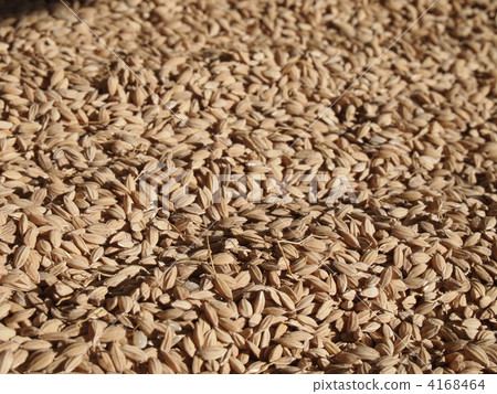 Chaff Chaff 4168464