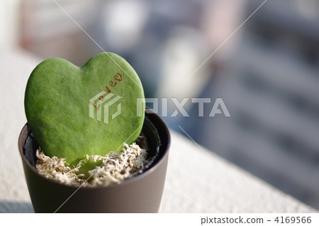 Love drawn on love heart 4169566