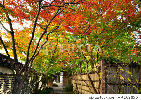 Autumn Rakugakuen Autumn Rakugakuen 4169856