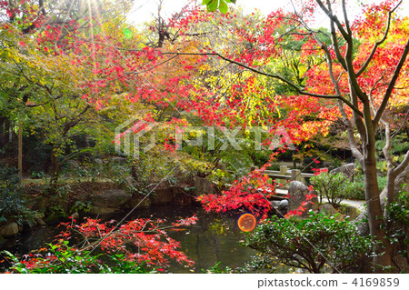 Autumn Rakugakuen 4169859