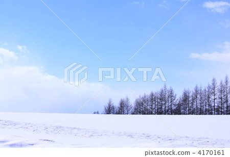 冬天的景色 冬天的景色 4170161