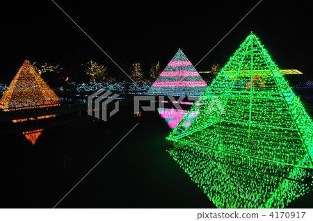 Ashikaga Flower Park Illumination Ashikaga Flower Park Illumination 4170917