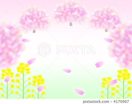 油菜花田 白色背景 白底 4170987
