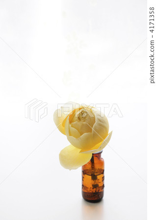 玻璃瓶 插花藝術 白色背景 4171358