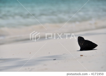 Ile des Pins Beach＆Palm 2 4171950