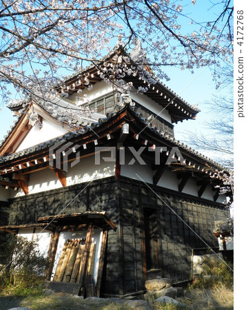 Cherry blossoms at Koriyama castle 4172768