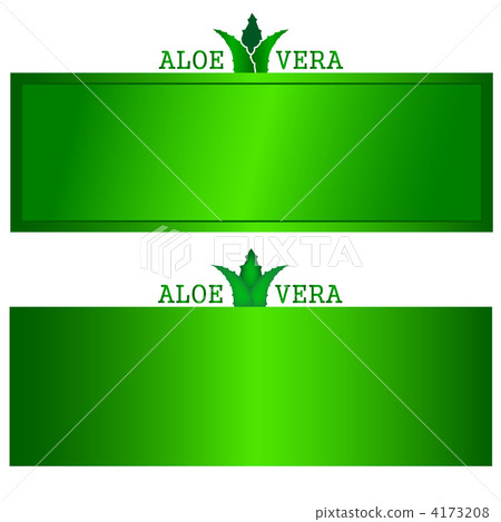 Aloe Frame 4173208
