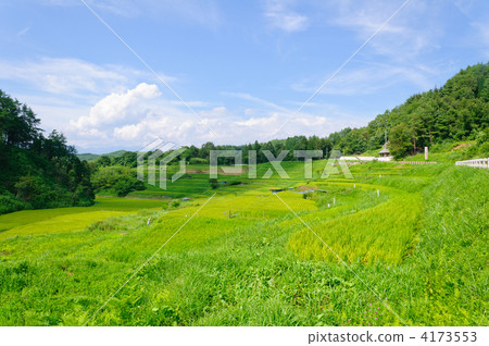 長野縣飯田市長野稻田 4173553
