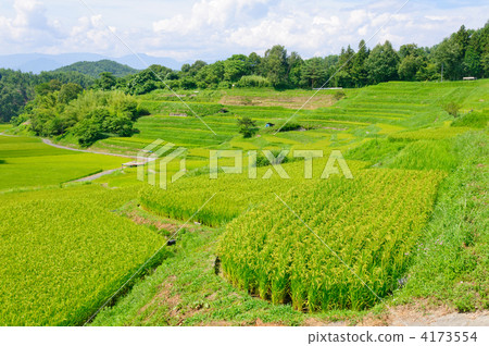長野縣飯田市長野稻田 4173554