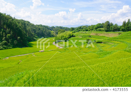 長野縣飯田市長野稻田 4173555