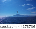 禮文島 4173736