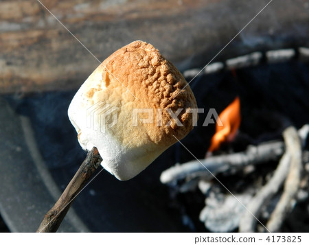 Grilled marshmallows Grilled marshmallows 4173825