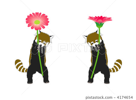 紅熊貓和瑪格麗特 4174654