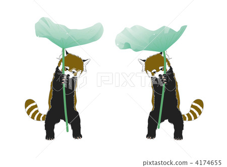 小熊貓和荷葉 4174655