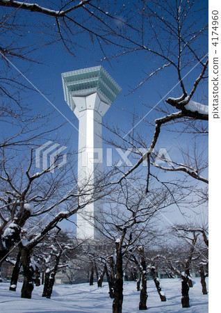 Goraku Goryokaku Tower Goraku Goryokaku Tower 4174960