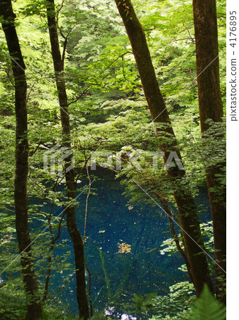 Aoike _垂直 4176895