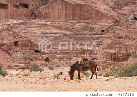 The way to Petra Eddil 4177116