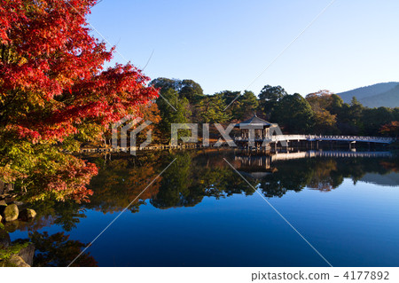 Autumn leaves lodge 4177892