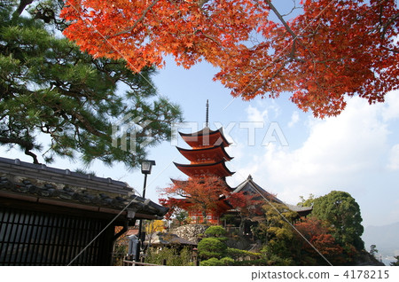 five-storied pagoda, senjokaku hall, maple 4178215