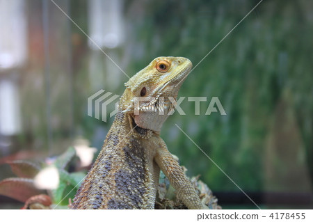 對於什麼？ 4178455