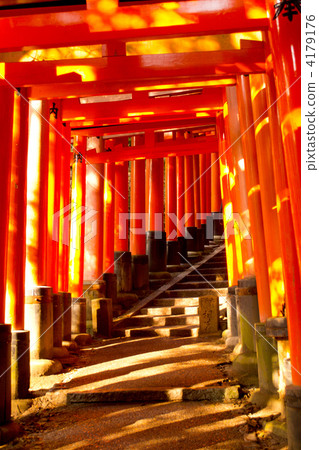 Torii of Fushimi-Inari Taisha Shrine Torii of Fushimi-Inari Taisha Shrine 4179176
