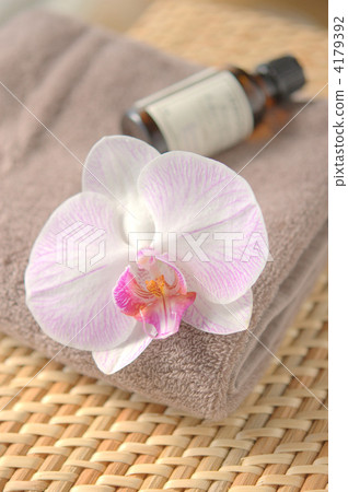 蘭花與芳香油 4179392