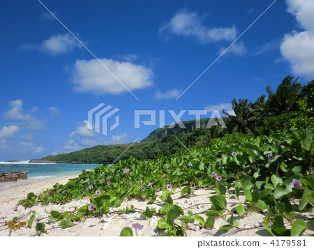 Sampang Wing海灘 Sampang Wing海灘 4179581