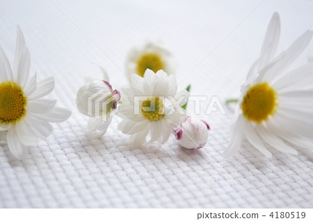 花髮簪 花式髮簪 雛菊 4180519