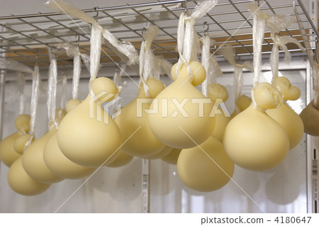 Kacho Cavaro 4180647