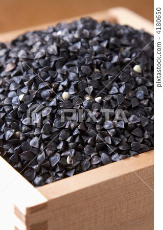 Buckwheat noodles Buckwheat noodles 4180650