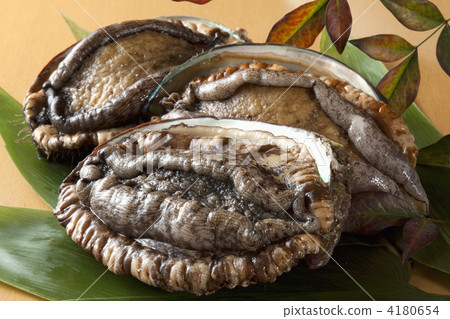 活躍的鮑魚 4180654