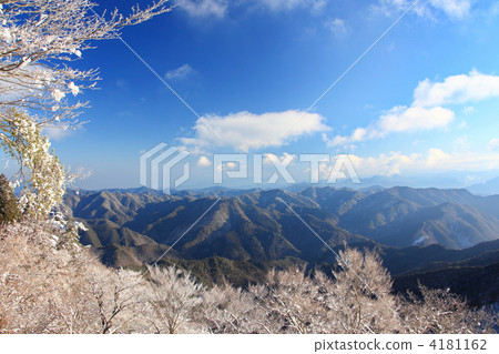 Snow Flower 4181162