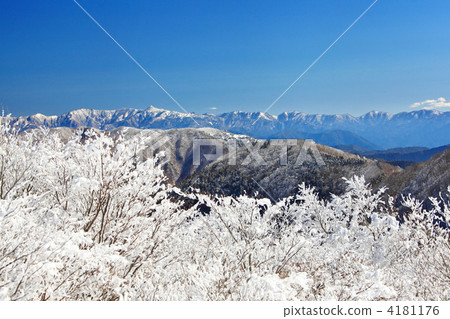 Snow Flower 4181176
