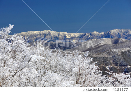 Snow Flower Snow Flower 4181177