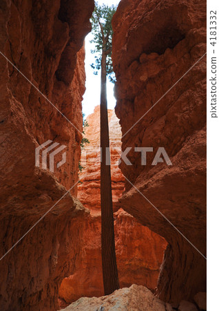 Bryce Canyon National Park Navajo Trail Bryce Canyon National Park Navajo Trail 4181332