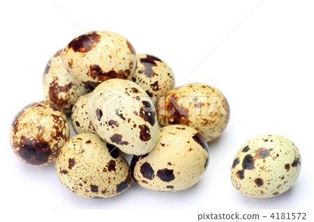 Quail egg 4181572