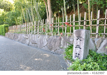 Bamboo grove of Jogetsuen Bamboo grove of Jogetsuen 4182997