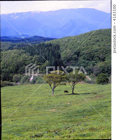 onikobe plateau, kamuro takeshi, landscape 4183100