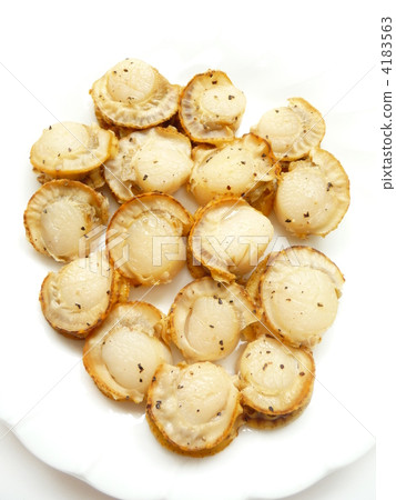 Scallop Scallop 4183563