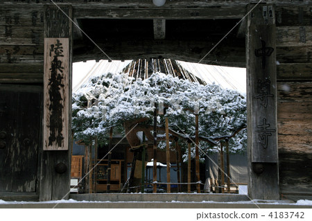 Chusonji寺 4183742