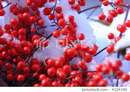 Southern sky with snow Southern sky with snow 4184398