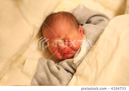 1 week old baby 4184733