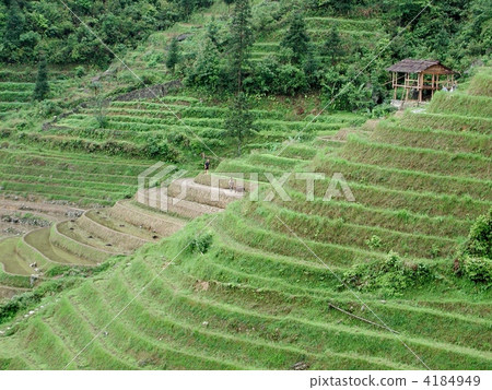 China Longsheng China Longsheng 4184949